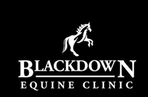 Blackdown Equine Clinic logo
