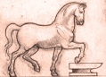 Anvil Equine Veterinary Clinic logo