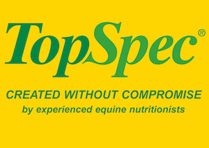 TopSpec logo